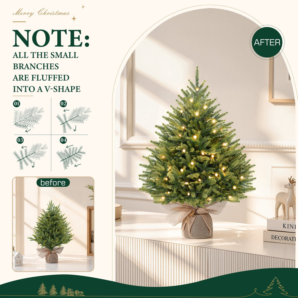 Lolsea 2ft Prelit Artificial Small Mini Christmas Tree with Color LED Lights, Remote Control and Timer, Perfect for Xmas Tabletop Decorations