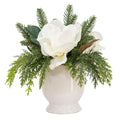 My Texas House Evergreen and Magnolia Christmas Arrangement in Pot, Green and White, 12"