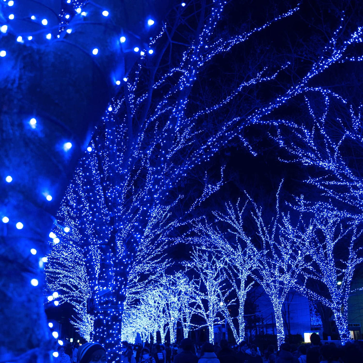 Rirool 2-Pack Solar Christmas Lights 100LED 39ft Waterproof Multicolor String Lights with 8 Modes for Gardens, Wedding, Party, Christmas Tree, Xmas Outdoor Decorations