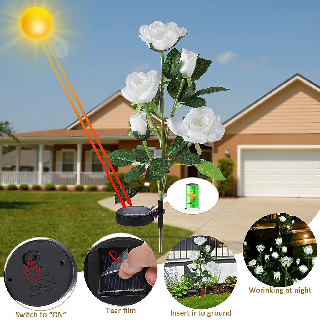 Qishi Solar Red 1.2 V LED Landscape and Walkway Light (2 Pack)