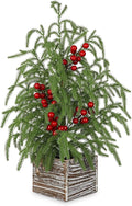 23.6 Inch Farmhouse Faux Cypress Table Tree with Red Berries and Wooden Base