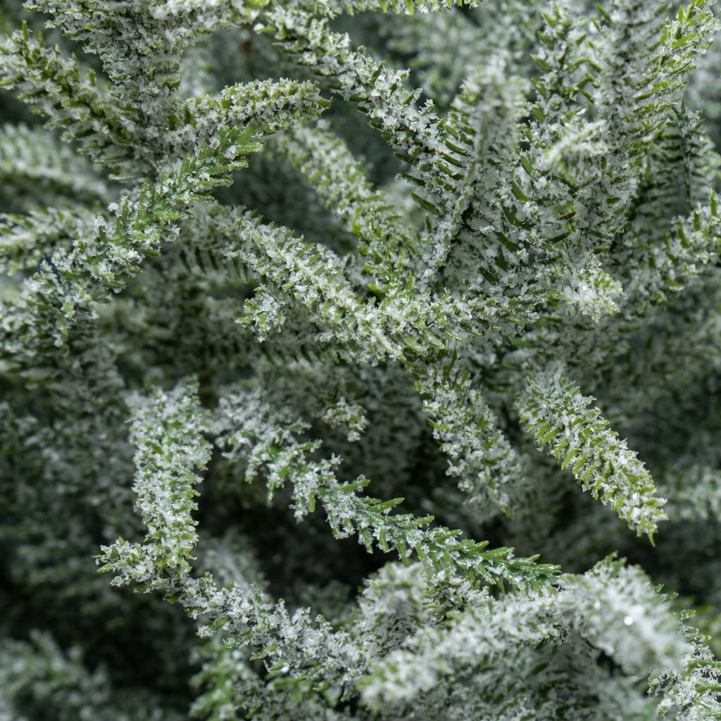 My Texas House Snow-Flocked Evergreen Christmas Arrangement in Pot, Green/White/Black, 24"