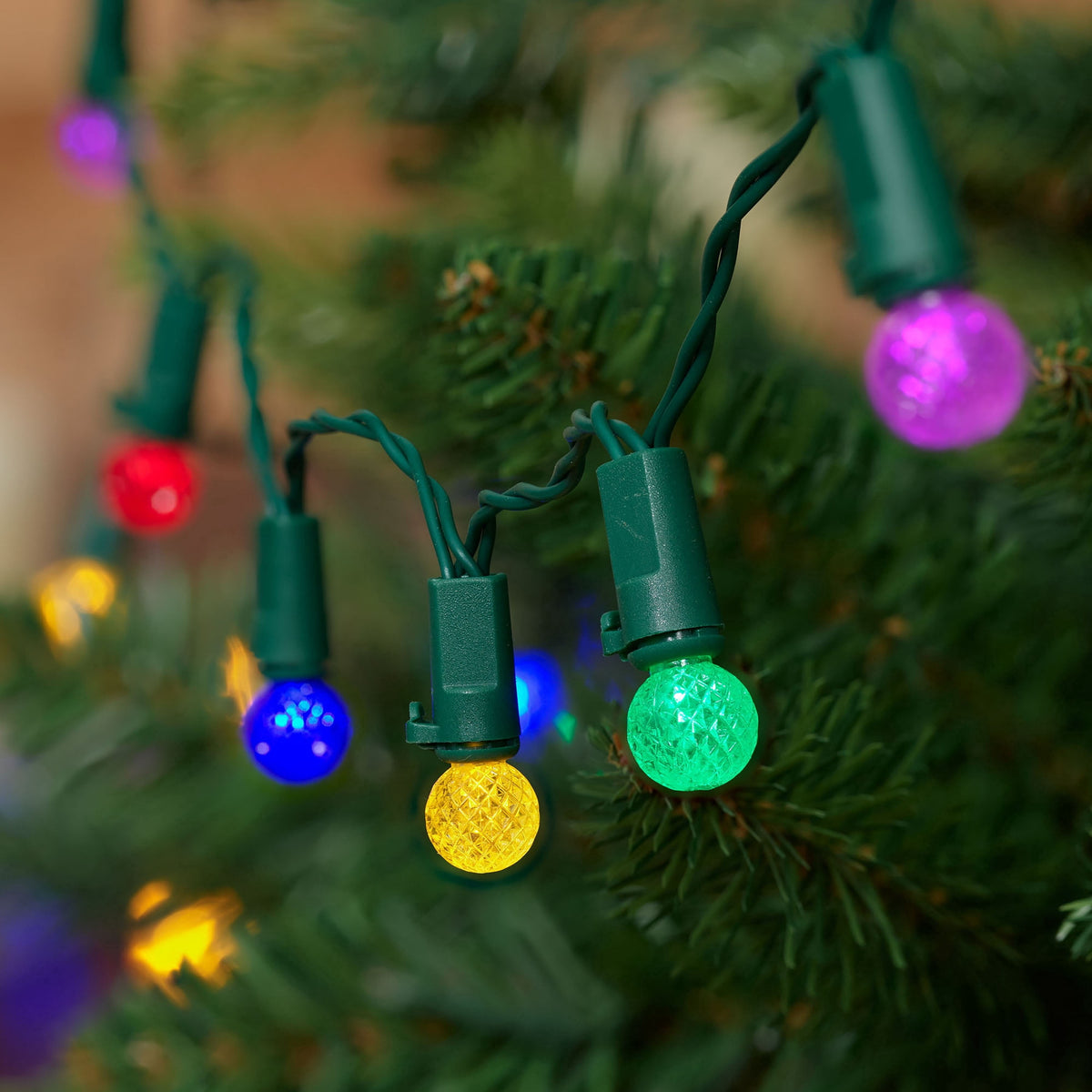 Indoor/Outdoor 50-Count LED 8-Function G12 Christmas String Lights, Warm White, Green Wire, 12.5', by Holiday Time