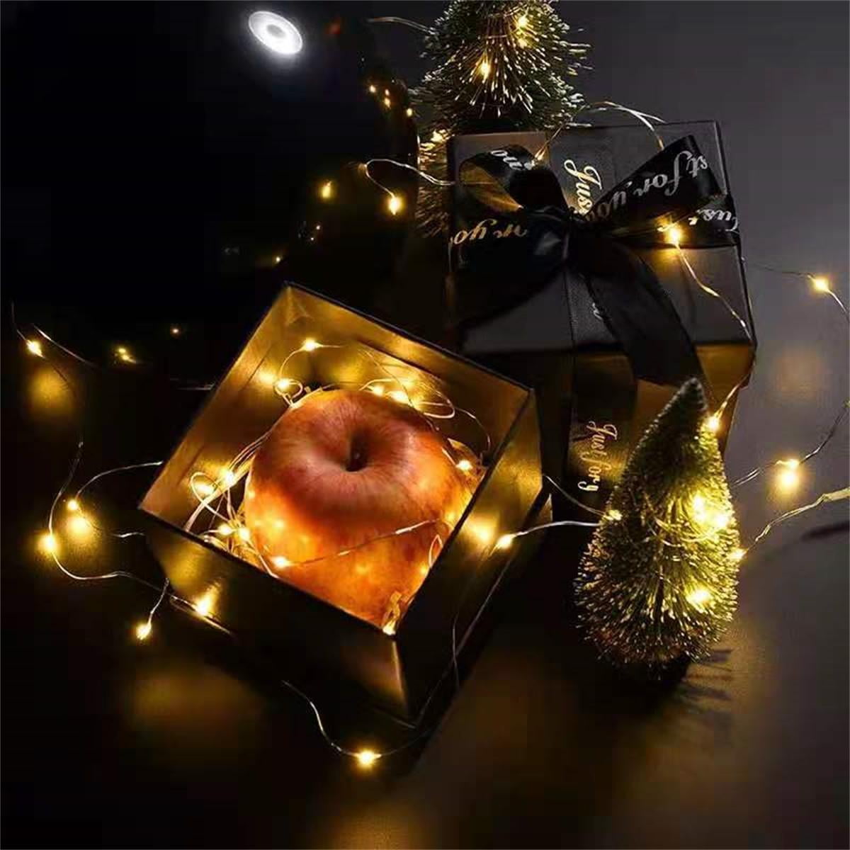 2 Pack Battery Operated Mini String Light,Indoor Led Fairy Light with Timer 6 Hours on/18 Hours Off for Craft Clear Vase Decoration,30 Count LED,10 Feet Silver Wire (Red)