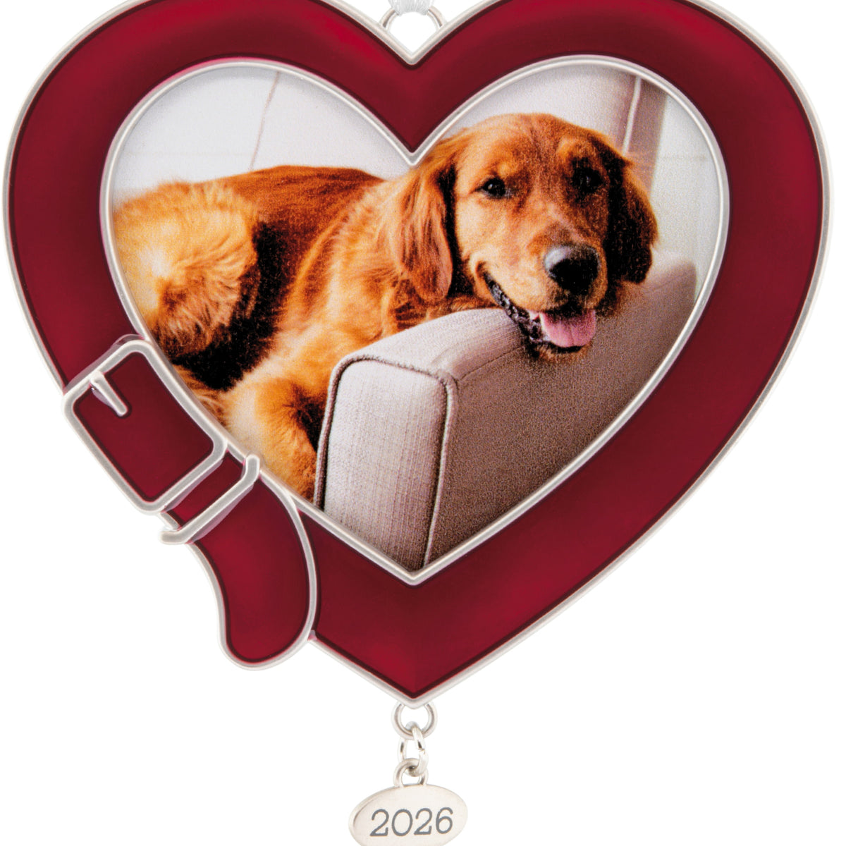 Hallmark Christmas Ornament (Pet 2026 Photo Frame, Metal), 1 Count