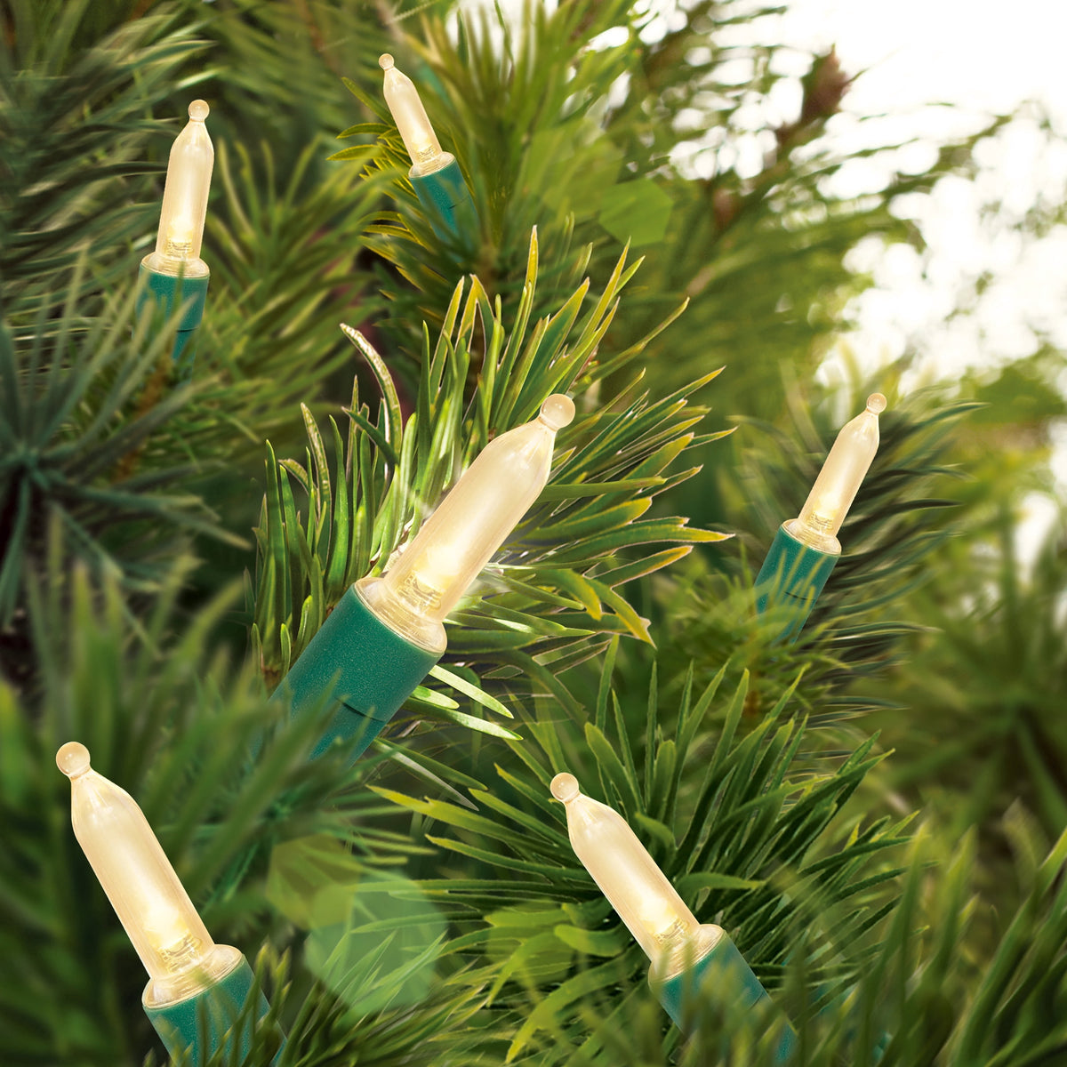 Indoor/Outdoor 100-Count LED Mini Christmas String Lights, Warm White, Green Wire, 19.5', by Holiday Time