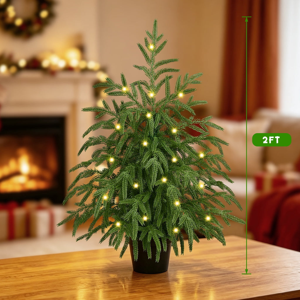 Yastouay 2FT Tabletop Christmas Tree Artificial Norfolk Pine Pre-Lit Xmas Tree with Lights for Front Porch Indoor Outdoor Christmas Decor