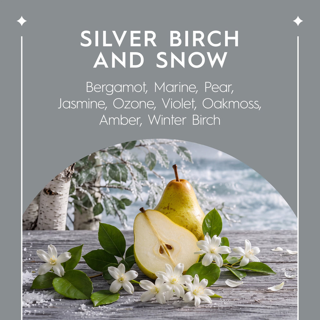 Better Homes & Gardens 1-Wick Glass Christmas Tree Candle, Silver Birch & Snow, 8 oz