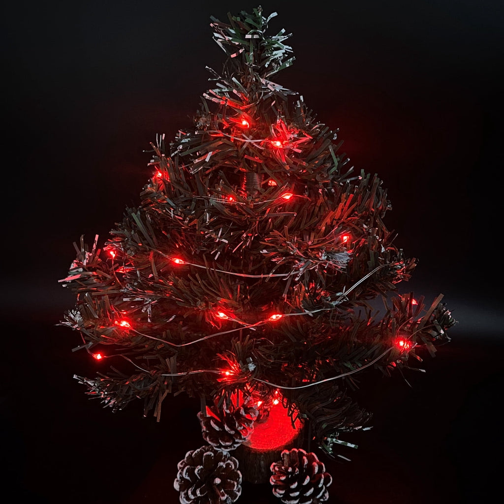2 Pack Battery Operated Mini String Light,Indoor Led Fairy Light with Timer 6 Hours on/18 Hours Off for Craft Clear Vase Decoration,30 Count LED,10 Feet Silver Wire (Red)