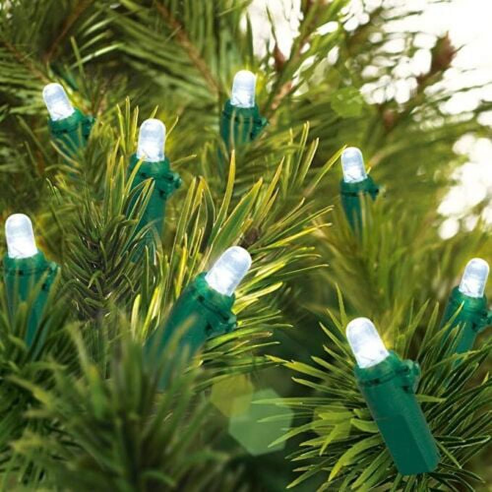 Home Accents Holiday Indoor/Outdoor 28 ft Plug-in Energy Efficient LED Light String