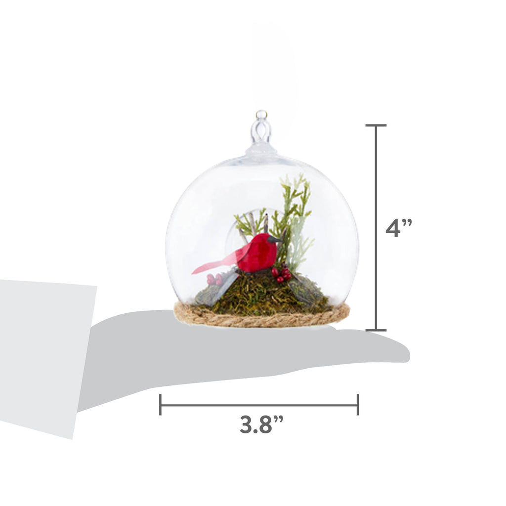 4-Count Multicolor Cardinal Scene in Ball Shatterproof Christmas Ornaments, 4", by Holiday Time