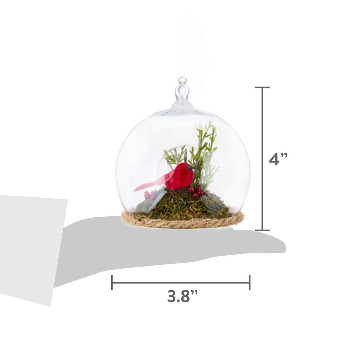 4-Count Multicolor Cardinal Scene in Ball Shatterproof Christmas Ornaments, 4", by Holiday Time