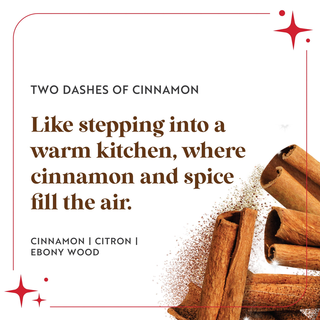 Scentsicles Two Dashes of Cinnamon Scentfetti Scented Paper Filler - 125g Bottle