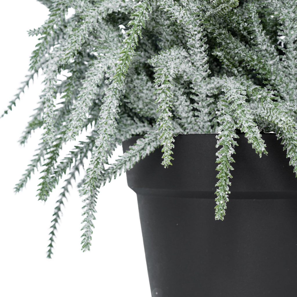 My Texas House Snow-Flocked Evergreen Christmas Arrangement in Pot, Green/White/Black, 24"