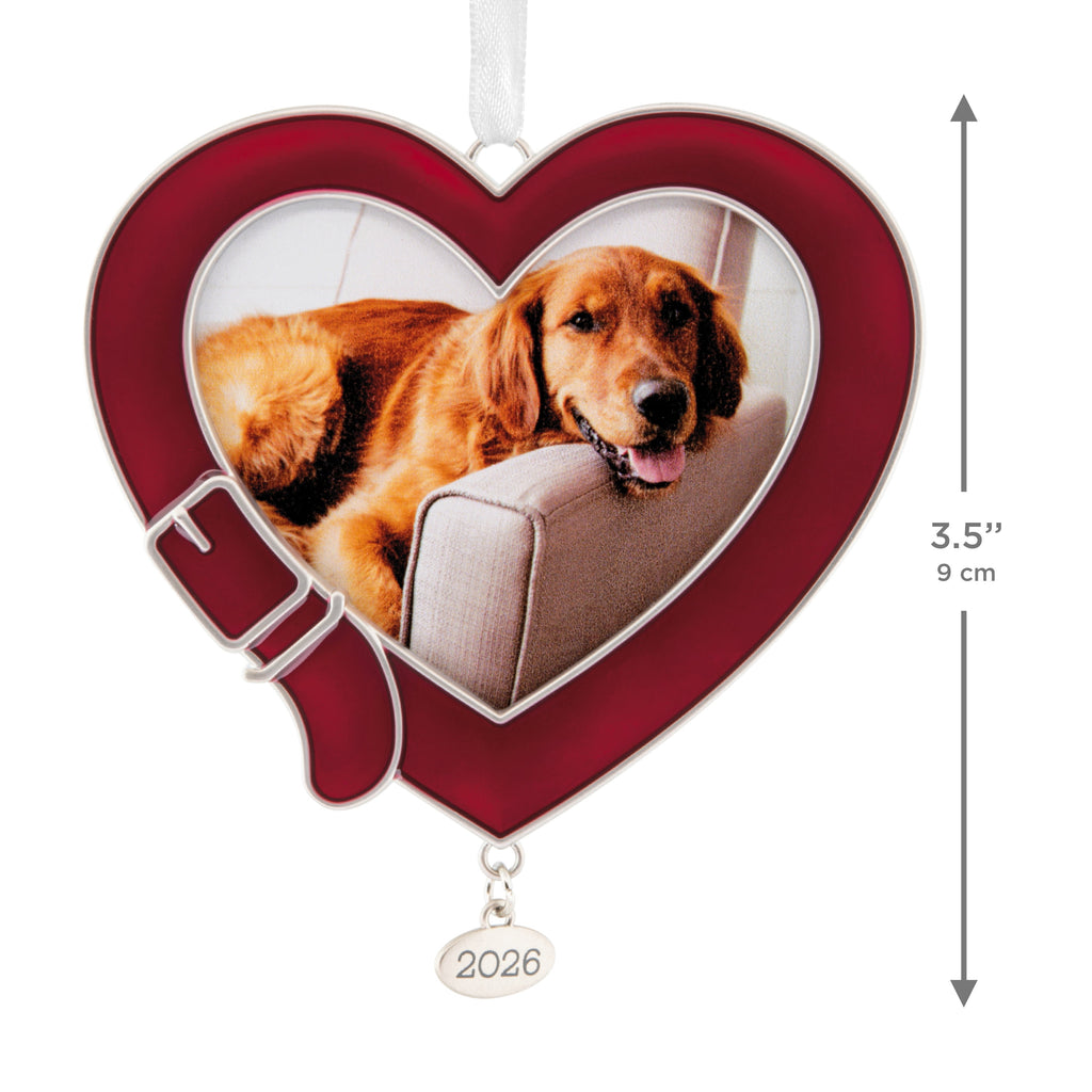 Hallmark Christmas Ornament (Pet 2026 Photo Frame, Metal), 1 Count
