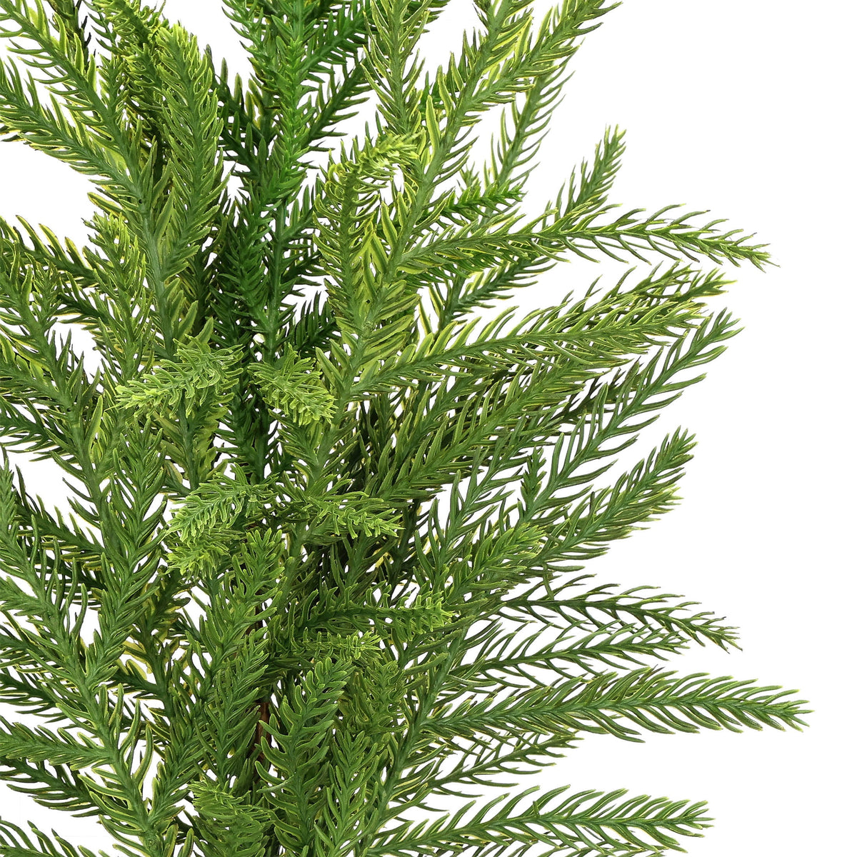 My Texas House Green Norfolk Branch Decorative Christmas Pick, 27"