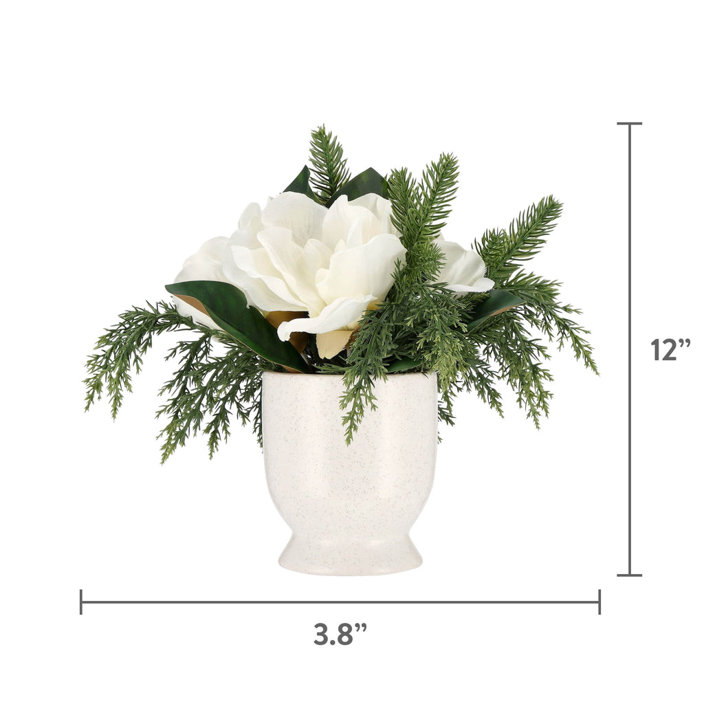 My Texas House Evergreen and Magnolia Christmas Arrangement in Pot, Green and White, 12"