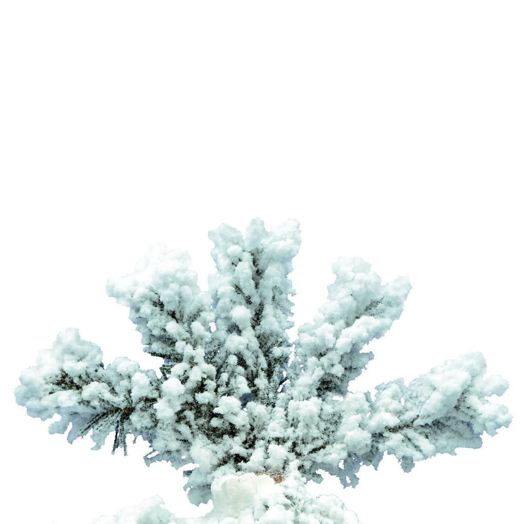 Vickerman 7' Flocked Spruce Artificial Christmas Tree, Warm White LED Lights