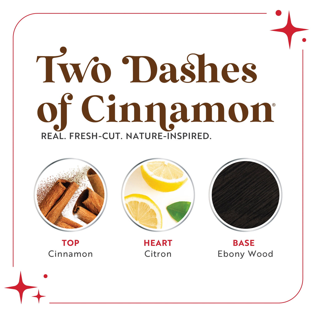 Scentsicles Two Dashes of Cinnamon Scentfetti Scented Paper Filler - 125g Bottle
