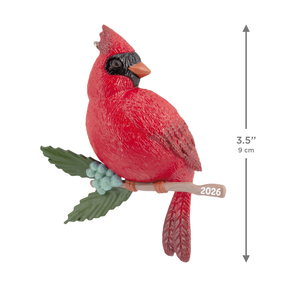 Hallmark Christmas Ornament (Cardinal Bird 2026), 1 Count