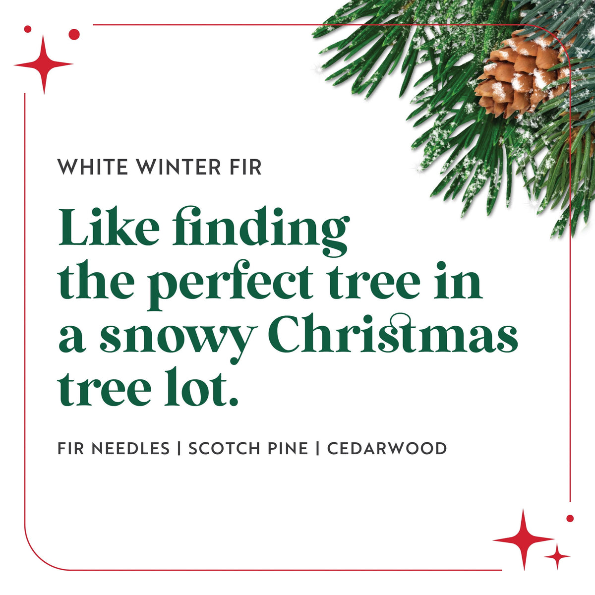 Scentsicles White Winter Fir Scentfetti Scented Paper Filler - 125g Bottle
