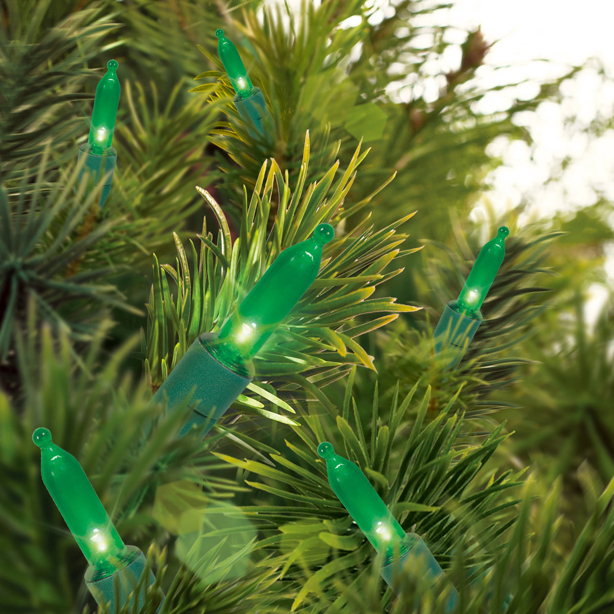Indoor/Outdoor 100-Count LED Mini Christmas String Lights, Warm White, Green Wire, 19.5', by Holiday Time