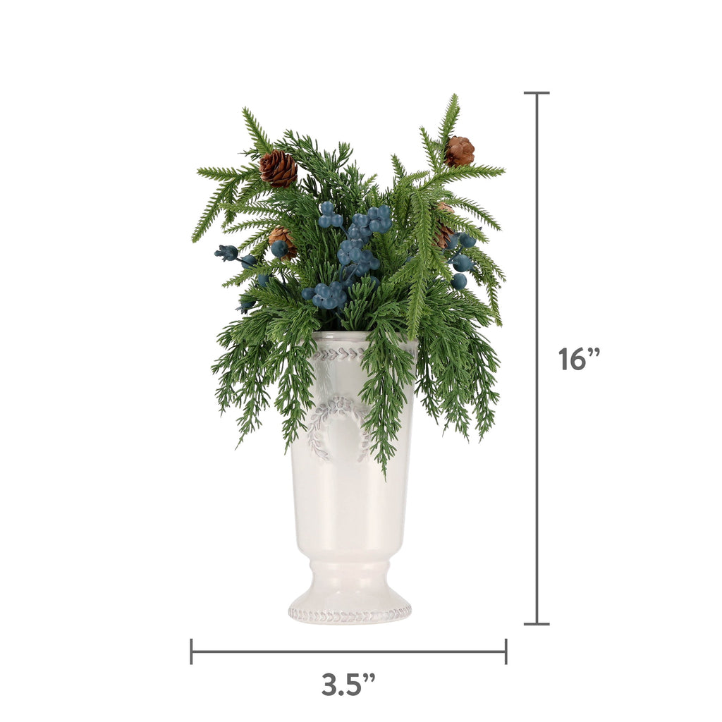 My Texas House Evergreen, Pinecone, and Berry Christmas Arrangement in Pot, Multicolor, 16"