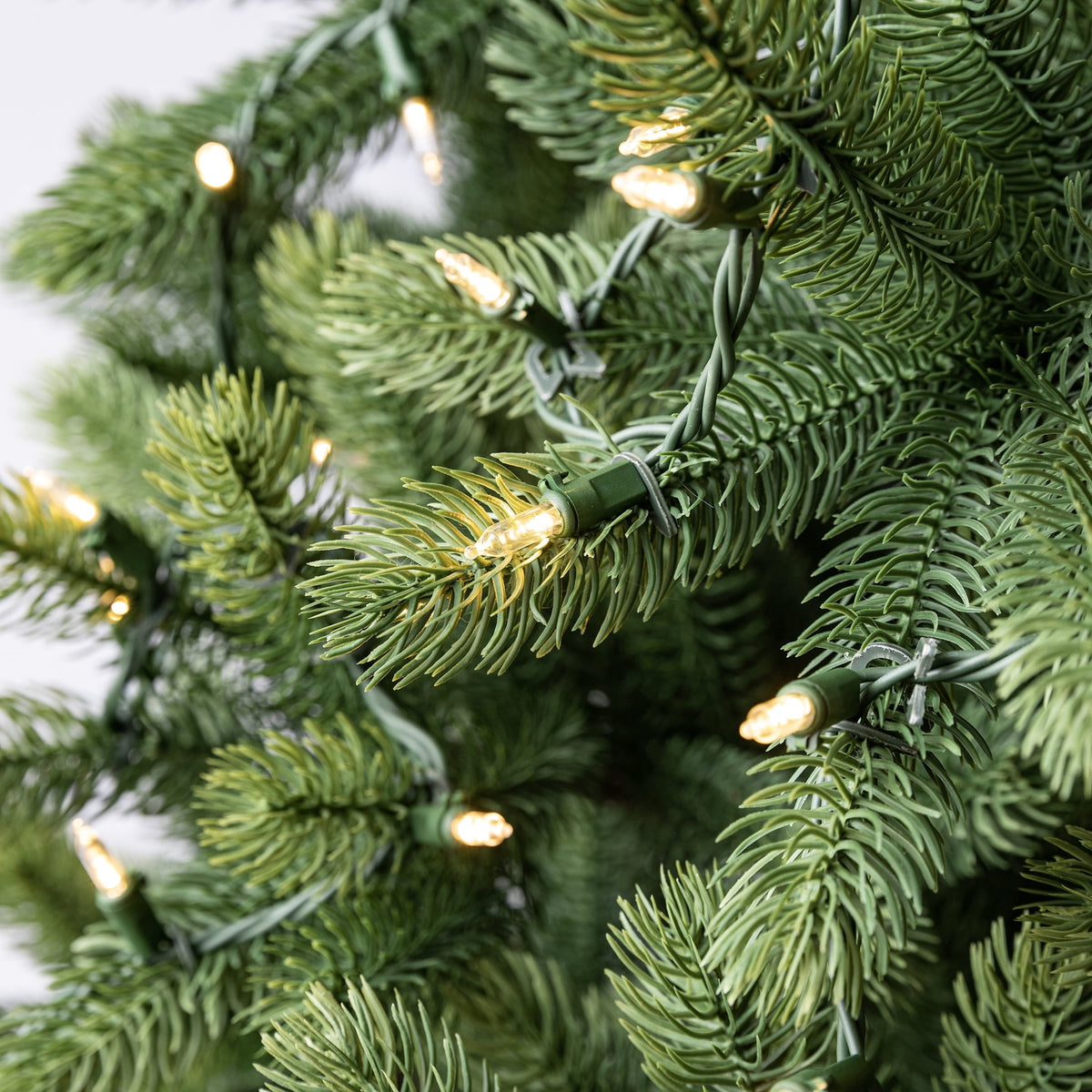 Indoor/Outdoor 50-Count LED Mini Christmas String Lights, Warm White, Green Wire, 10.2', by Holiday Time