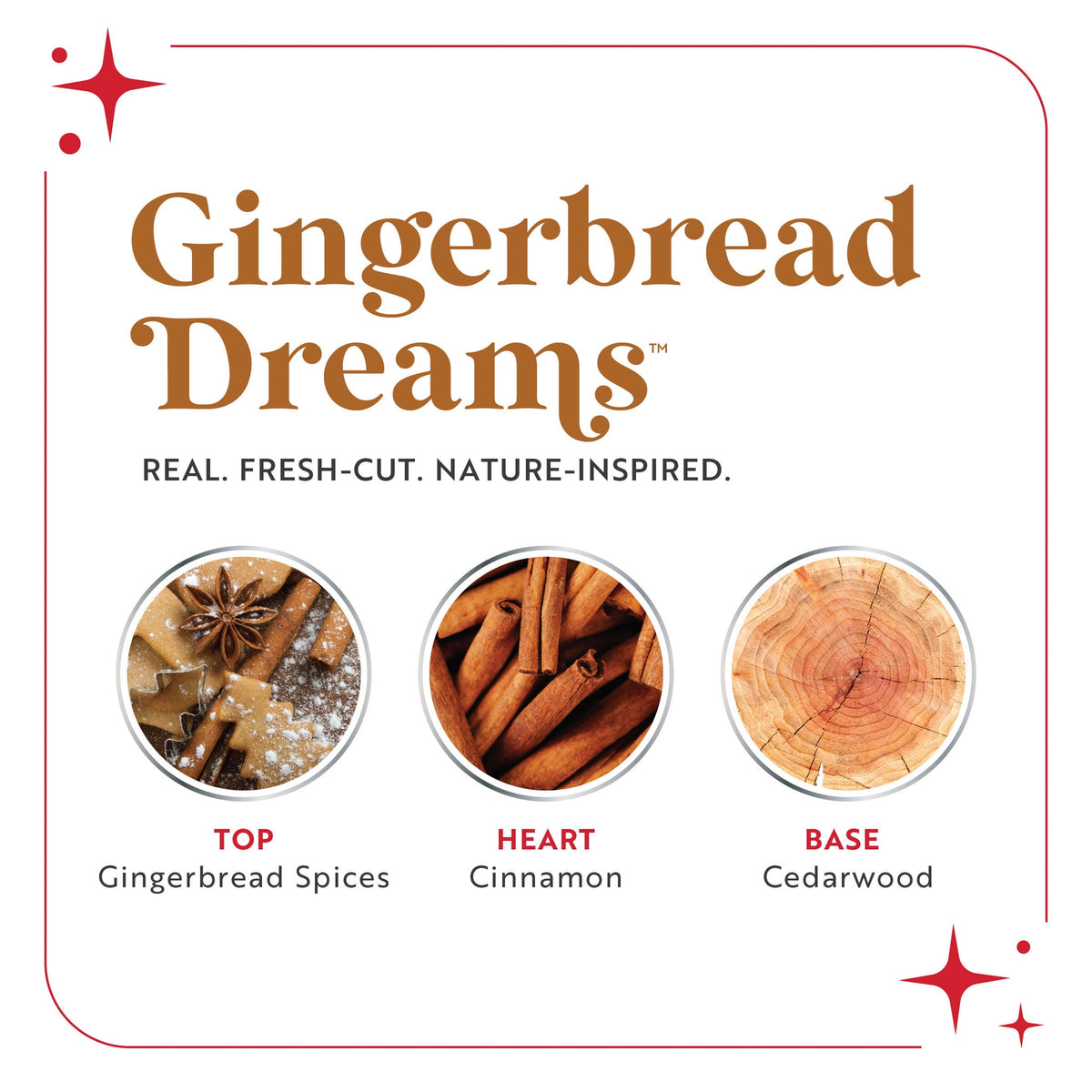 Scentsicles Gingerbread Dreams Scentfetti Scented Paper Filler - 125g Bottle