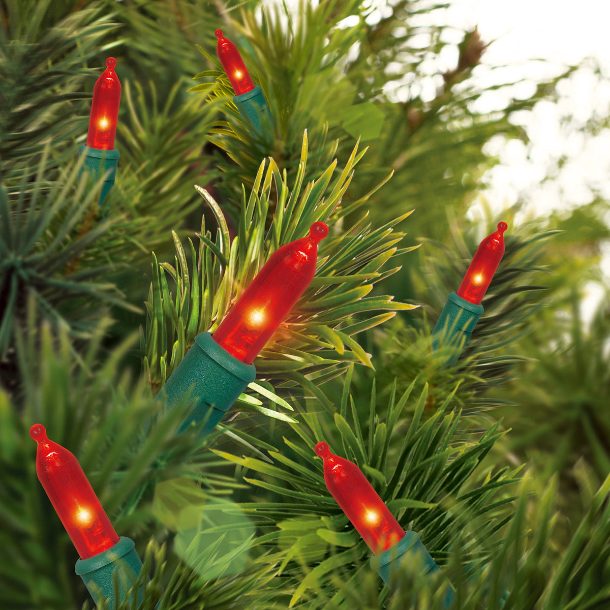 Indoor/Outdoor 100-Count LED Mini Christmas String Lights, Warm White, Green Wire, 19.5', by Holiday Time