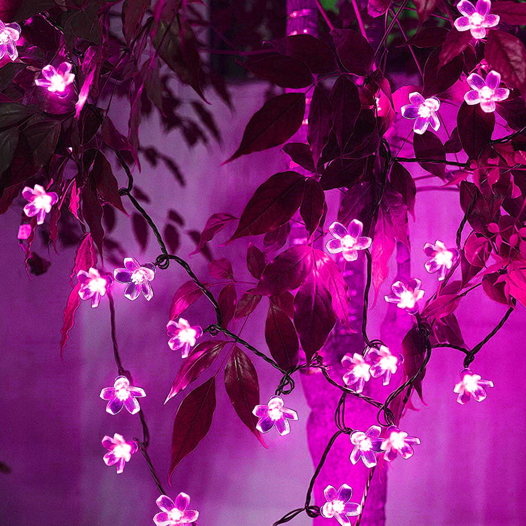 Rirool Cherry Blossom Solar String Lights Outdoor, 23FT 50 LED Flower Fairy Lights with 2 Lighting Modes, IP65 Waterproof Auto On/Off for Garden Patio Wedding Christmas Decor, Multicolor