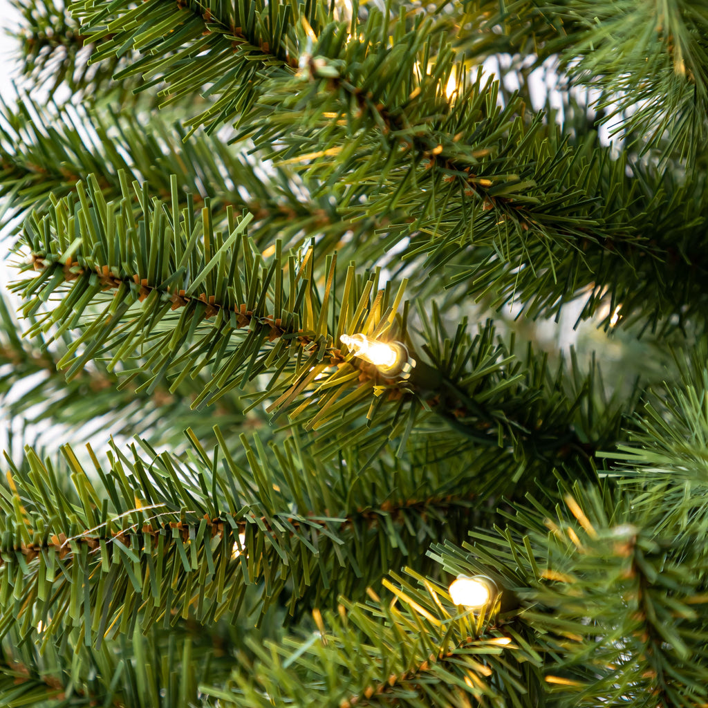 4ft. Pre-Lit Lakewood Spruce Artificial Christmas Tree, Warm White LED Lights by Ashland