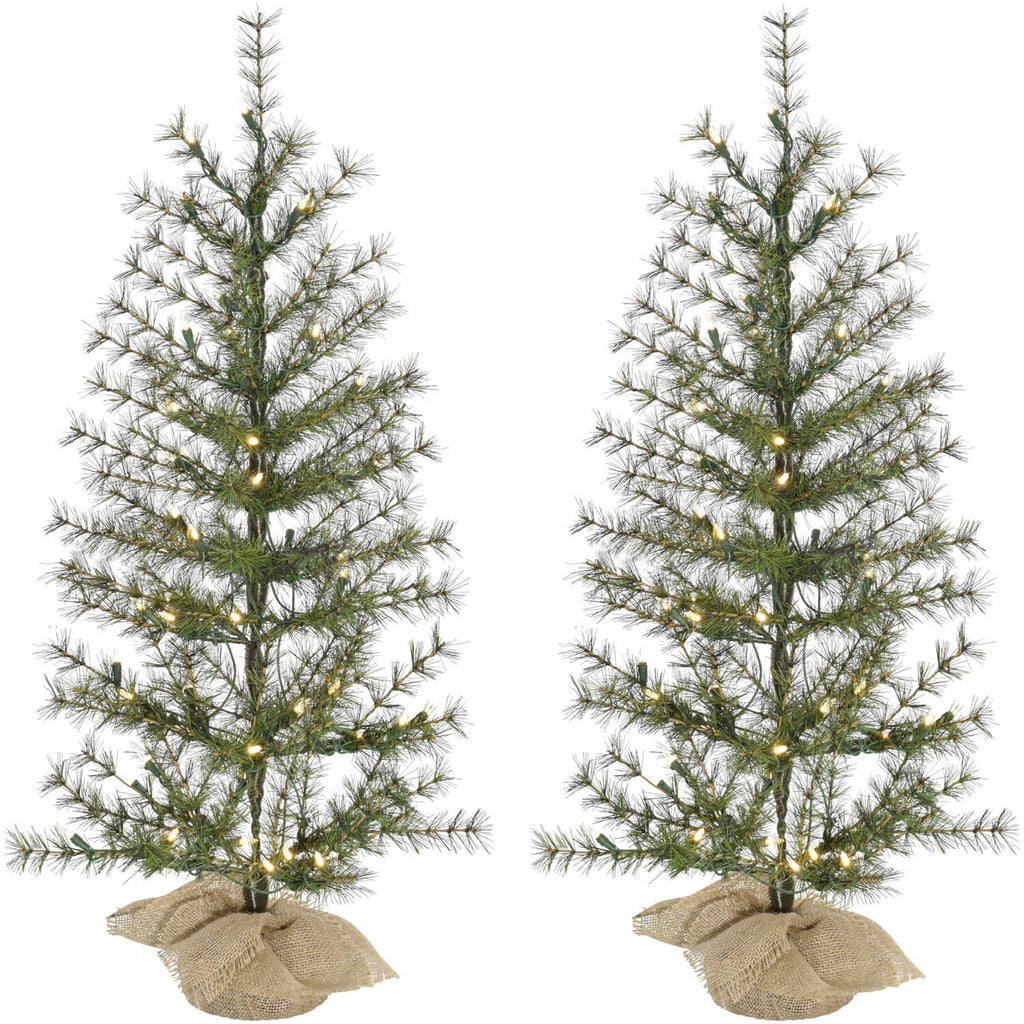 Fraser Hill Farm 3-ft. Farmhouse Fir Christmas Tree with Burlap Bag and Warm White LED Lights, Set of 2, FFFF036-5GR/S2