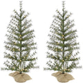 Fraser Hill Farm 3-ft. Farmhouse Fir Christmas Tree with Burlap Bag and Warm White LED Lights, Set of 2, FFFF036-5GR/S2