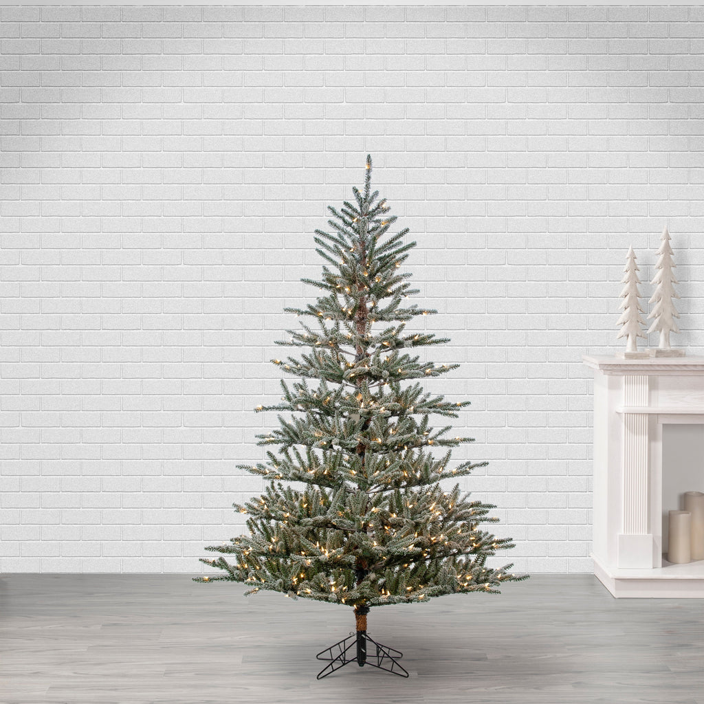 Gerson 7Ft. Flocked Scotch Pine with 450 Incandescent Lights