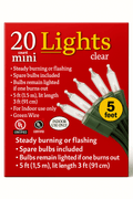 Greenbrier International 20-Count Mini Christmas Lights, Clear Indoor String Light Set, 5 ft (1.5 m)