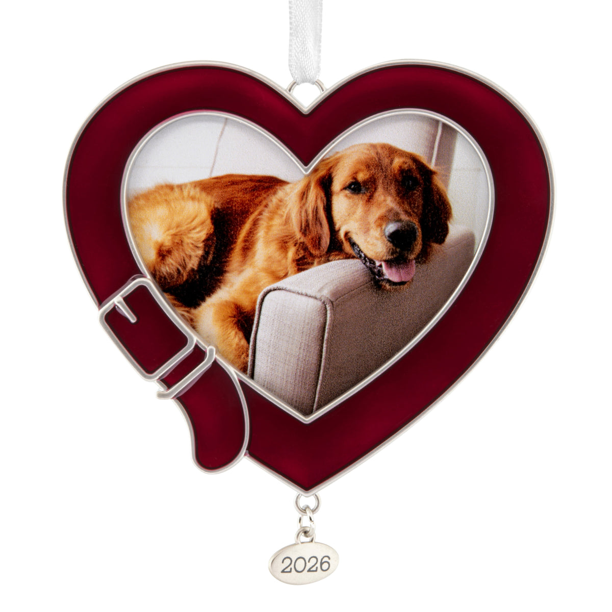 Hallmark Christmas Ornament (Pet 2026 Photo Frame, Metal), 1 Count