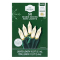 Indoor/Outdoor 50-Count LED Mini Christmas String Lights, Warm White, Green Wire, 10.2', by Holiday Time
