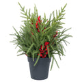 My Texas House Greenery and Berries Christmas Arrangement in Pot, Red/Green/Black, 24"