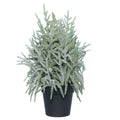 My Texas House Snow-Flocked Evergreen Christmas Arrangement in Pot, Green/White/Black, 24"