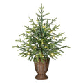 My Texas House 2' Small Pre-Lit Norfolk Pine Green Artificial Christmas Tree with 30 Warm White Twinkle LED Lights in Woven Basket