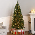 National Tree Company 6 ft. Acacia Hinged Tree with 300 Clear Lights-UL, 599 Tips