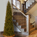 National Tree Company Slim Douglas Fir 12' Christmas Tree, Color Lights