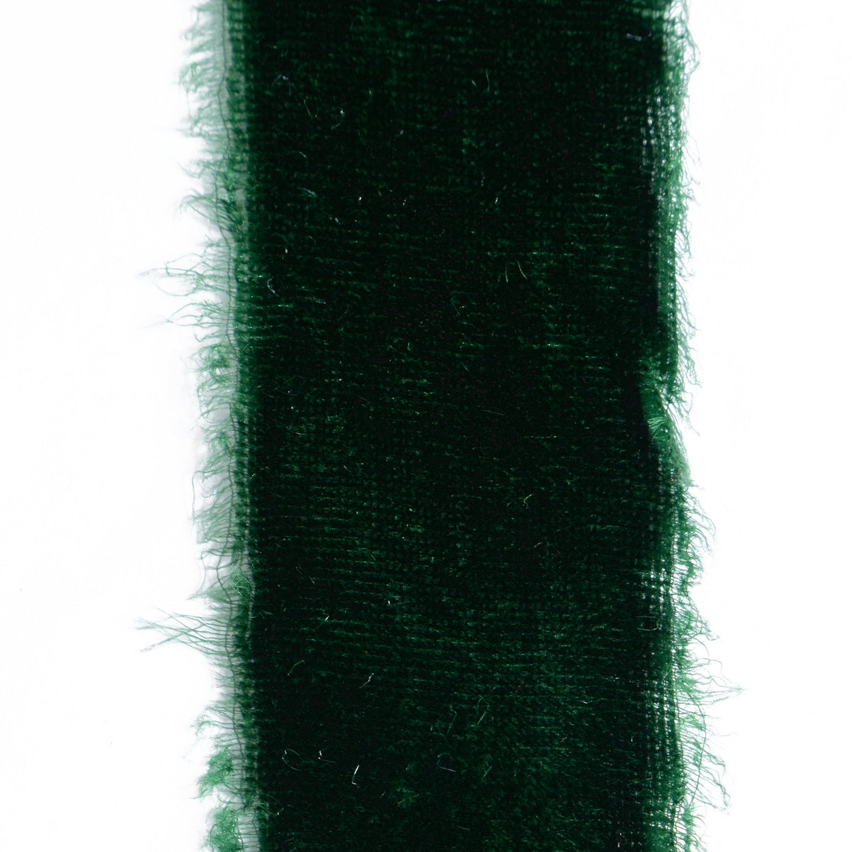 My Texas House Green Velvet Christmas Ribbon, 12'