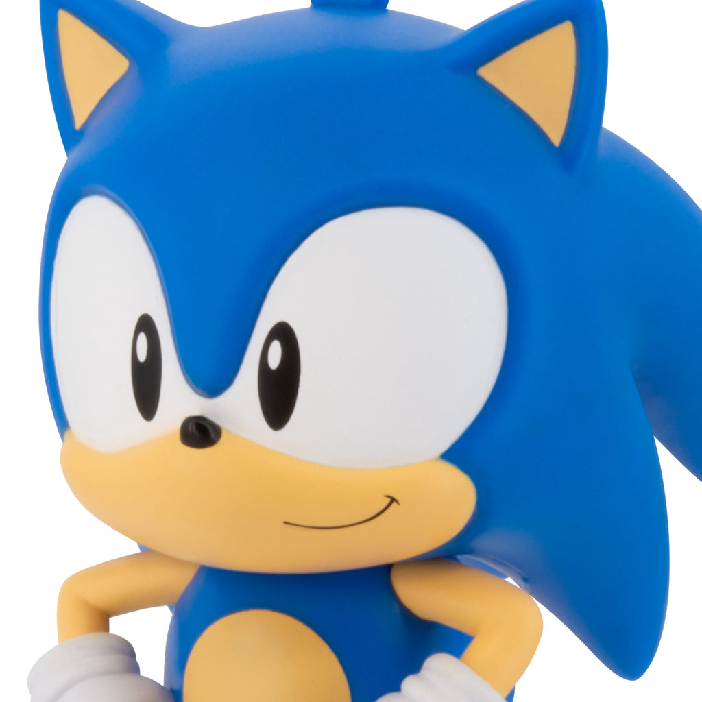 Hallmark Christmas Ornament (Sonic the Hedgehog, Shatterproof), 1 Count