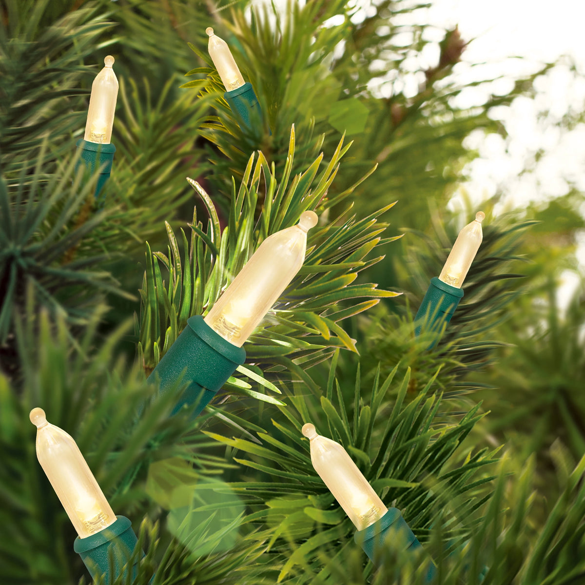Indoor/Outdoor 100-Count LED Random Twinkle Mini Christmas String Lights, Warm White, Green Wire, 19.5', by Holiday Time
