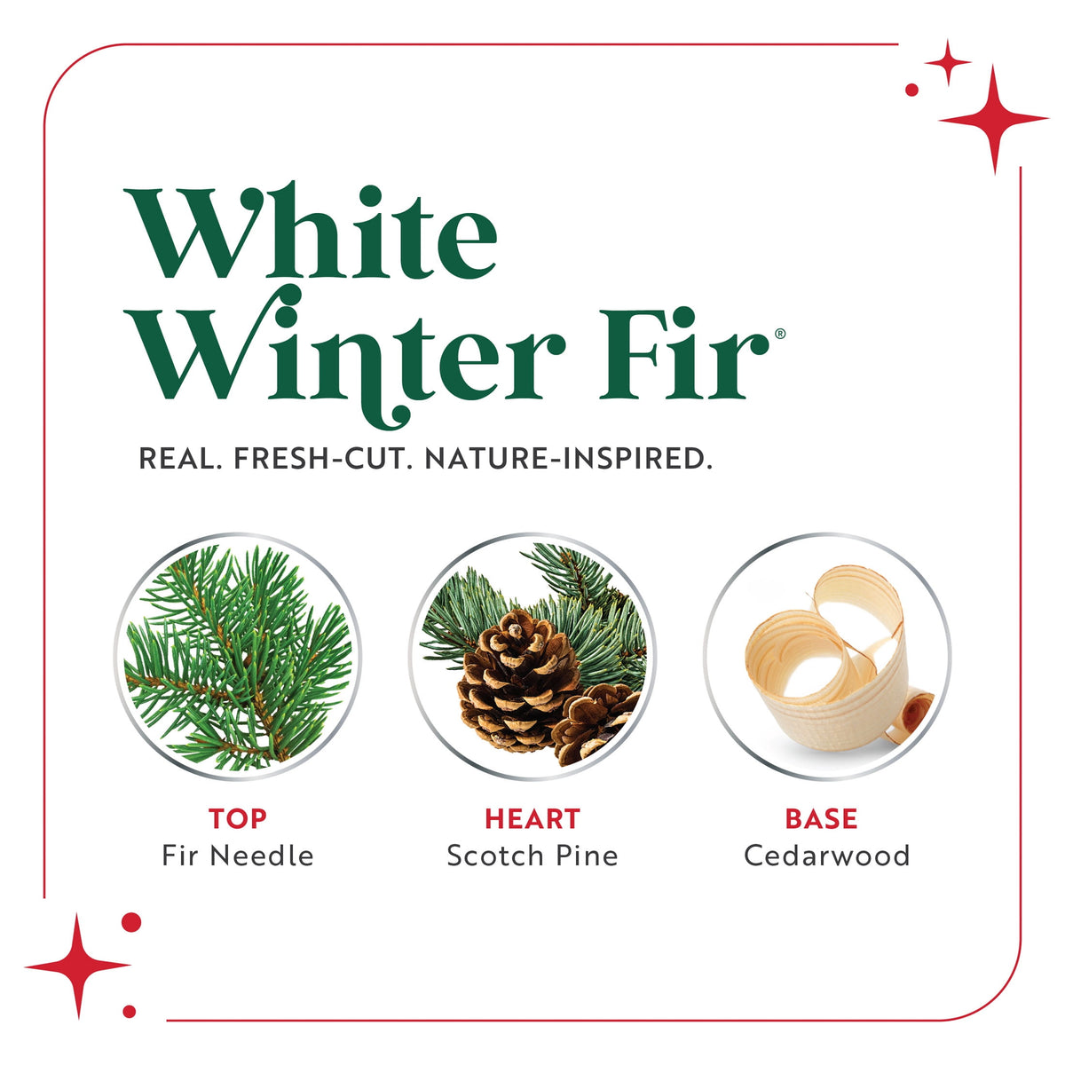 Scentsicles White Winter Fir Scentfetti Scented Paper Filler - 125g Bottle