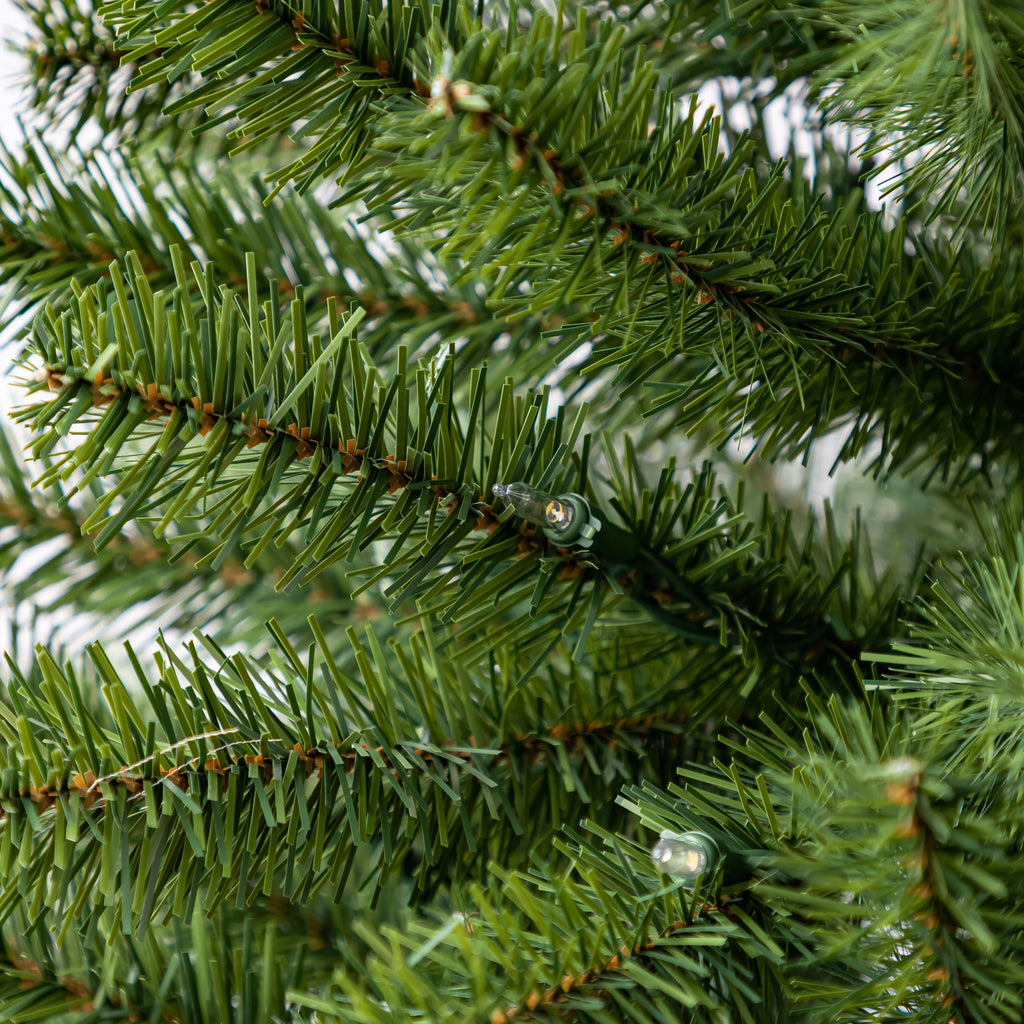 4ft. Pre-Lit Lakewood Spruce Artificial Christmas Tree, Warm White LED Lights by Ashland