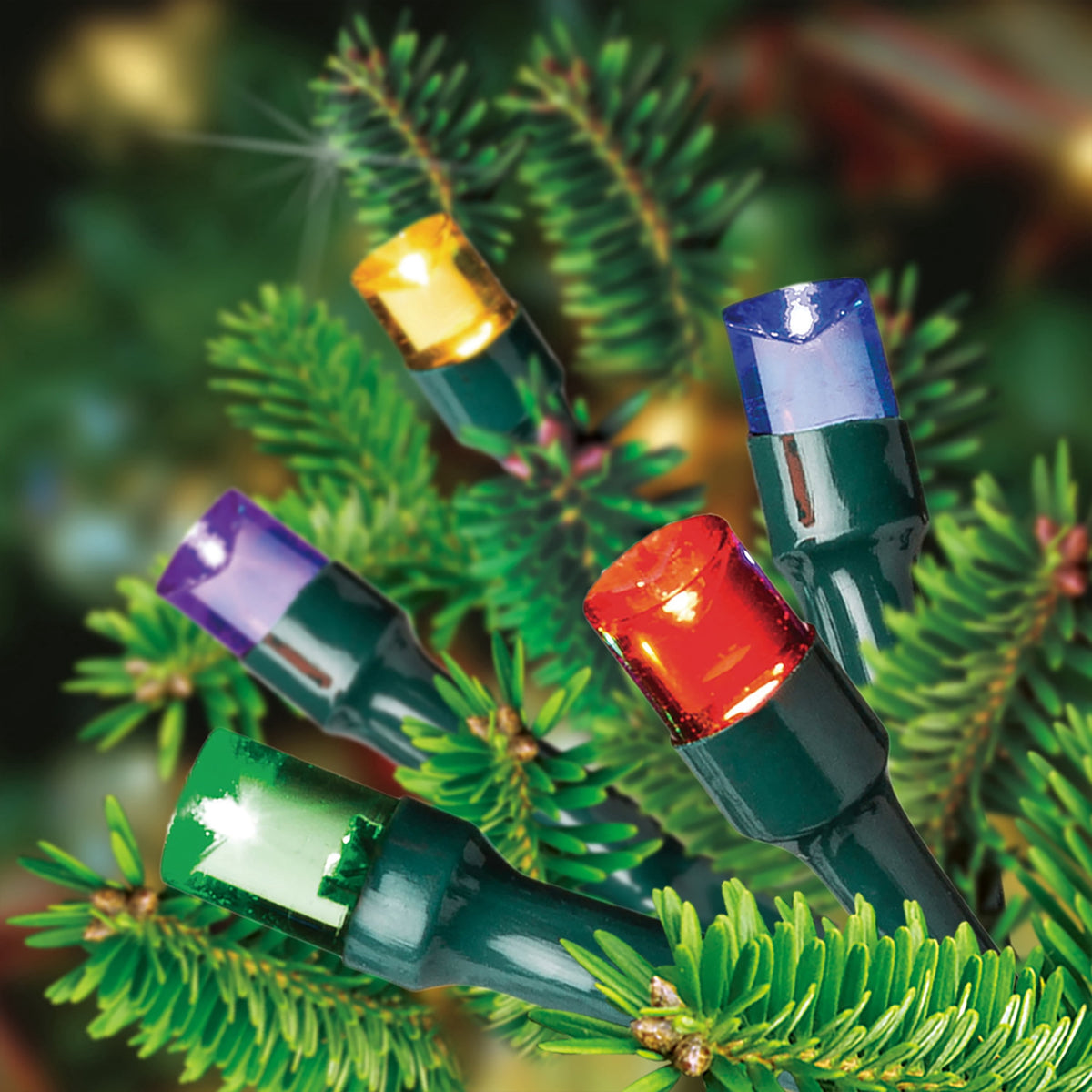 Indoor/Outdoor 50-Count Battery-Operated LED 8-Function Micro Christmas String Lights, Warm White, Green Wire, 12.5', by Holiday Time