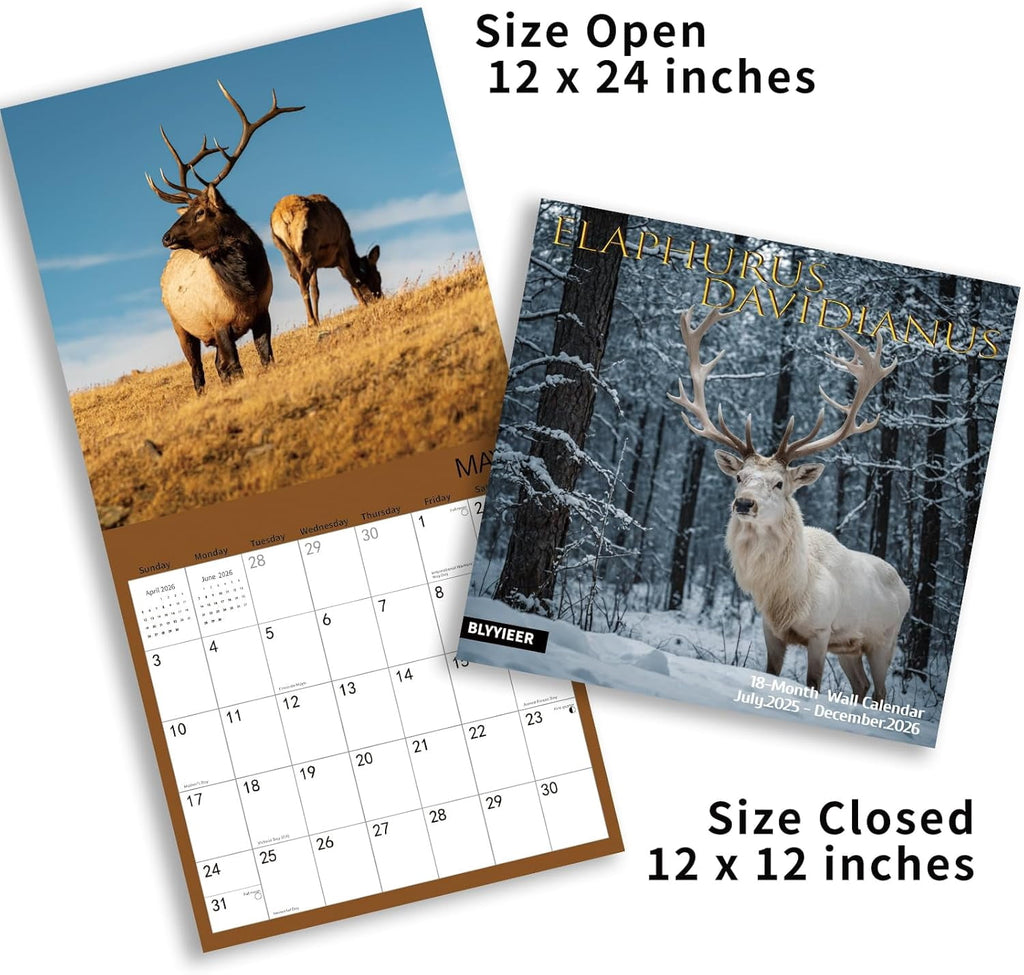 2026 Wall Calendar,Wolf Calendar 2025-2026,Wolf Monthly Wall Calendar, 12" x 24" Open,Family Planner Calendar with Wolf, Home & Office Organizer,Hangable